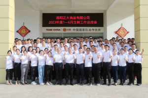 總結(jié)過(guò)去，計(jì)劃未來(lái)，協(xié)同創(chuàng)新，再創(chuàng)佳績(jī)！洛陽(yáng)正大舉行2023年上半年工作總結(jié)會(huì)議